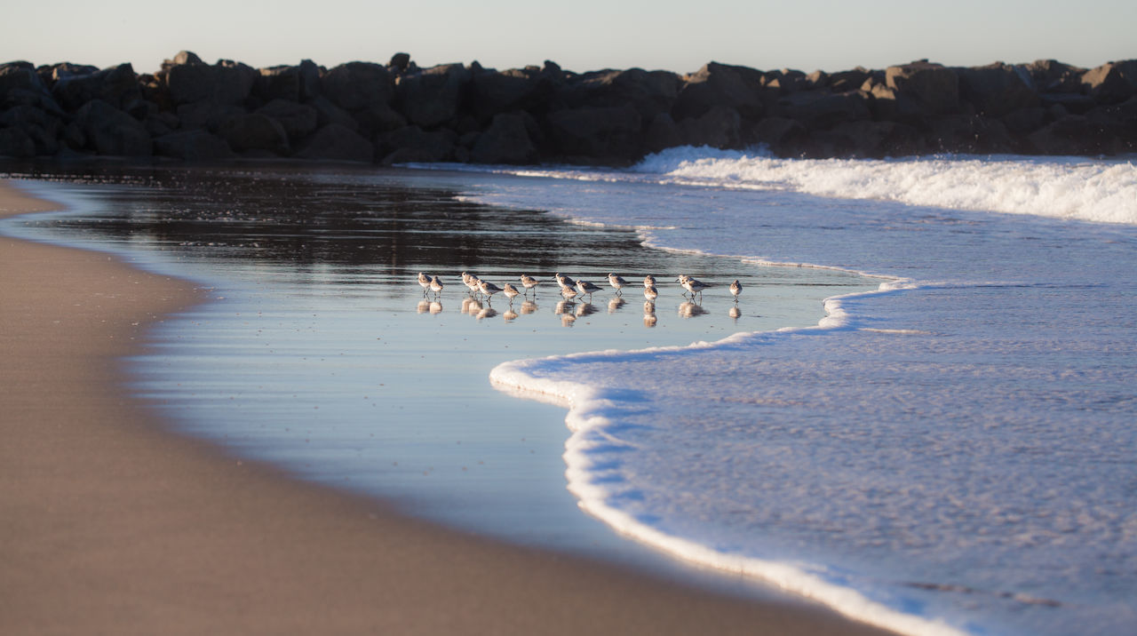 beach, sea, sand, water, shore, horizon over water, tranquility, tranquil scene, scenics, nature, beauty in nature, wave, sky, coastline, vacations, idyllic, outdoors, travel destinations, day, tourism, remote, non-urban scene, calm, no people, ocean, sunny