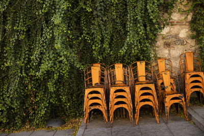 Orange outdoor chairs against plant wall. shot in madrid, spain