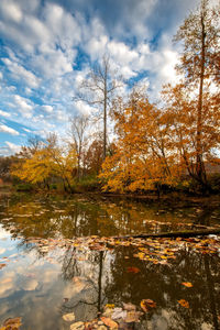 Scenic view of lake in forest during autumn