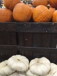Close-up of pumpkins in container