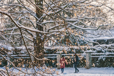 People walking on snow covered bare tree