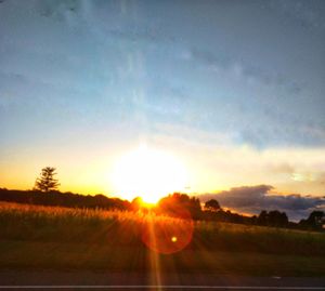 Scenic view of field against sky during sunset