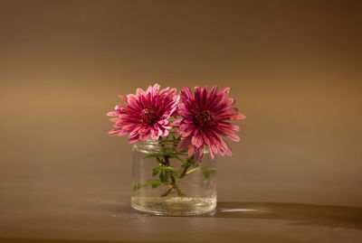 Close-up of flowers in glass against blue background