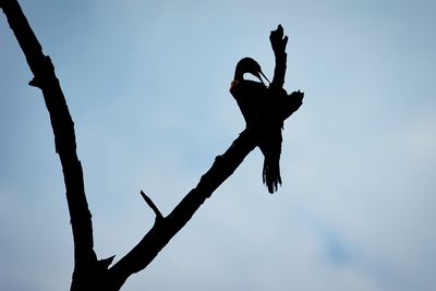 Low angle view of woman jumping against sky