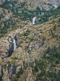 High angle view of trees on mountain