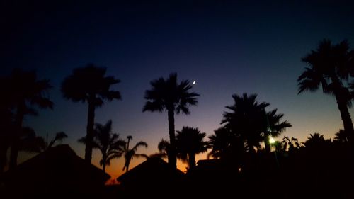 Silhouette palm trees against sky during sunset