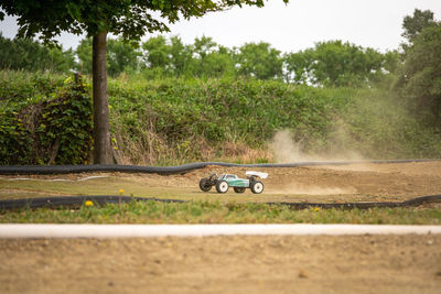 Car on road amidst trees