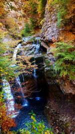 View of waterfall in forest