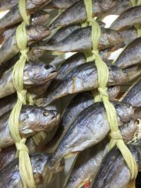 Full frame shot of fish for sale in market