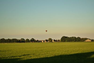 Scenic view of field against clear sky