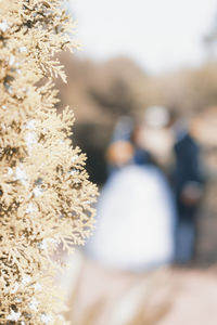 Rear view of a woman with blurred motion of plants