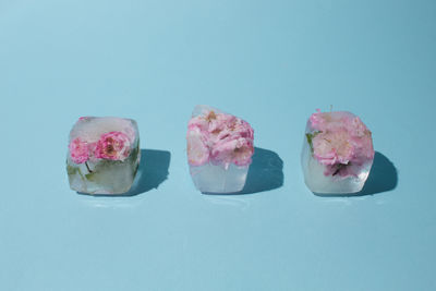 Beautiful pink flowers in four ice cubes on pastel blue background. sunny day concept. low angle