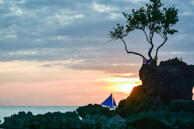 Lone sailboat in calm sea