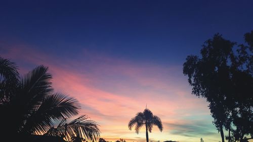 Low angle view of silhouette trees against sky at sunset