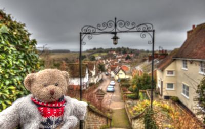 View of small dog in city