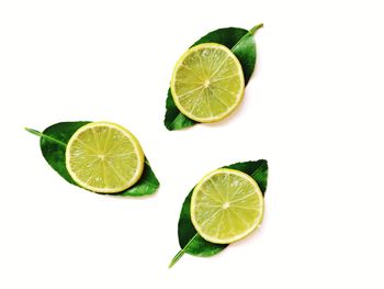 Close-up of green leaf against white background