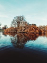 Reflection of tree in lake against sky