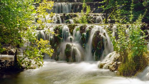 Scenic view of waterfall in forest