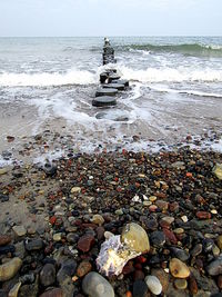 View of pebbles on beach