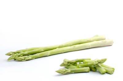 Close-up of chopped leaf against white background