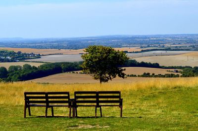 Empty benches with tree in background