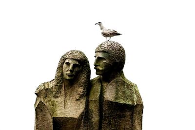 Close-up of bird perching on statue