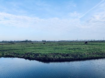 Scenic view of field against sky