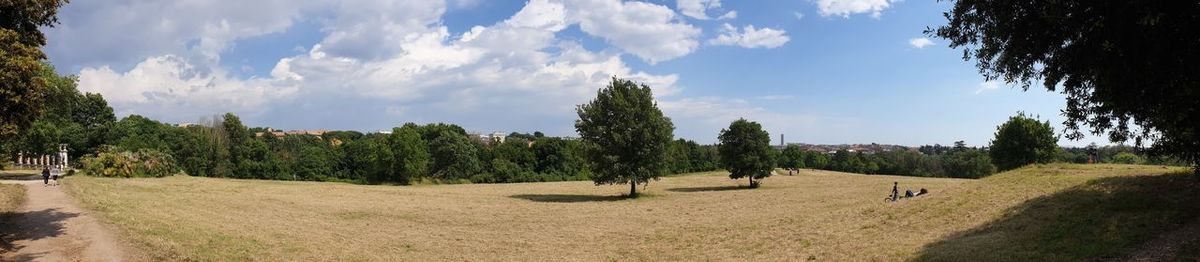 Panoramic view of trees on field against sky