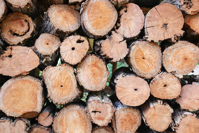 Full frame shot of logs