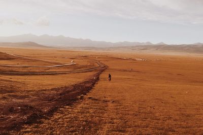 Man riding horse on landscape against sky