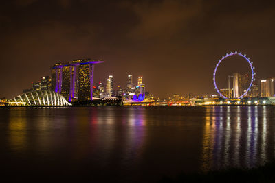 Illuminated ferris wheel in city against sky at night
