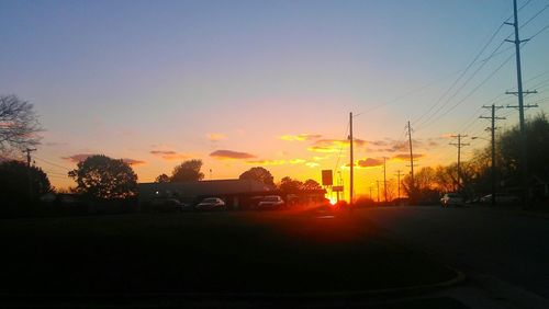 Silhouette of trees at sunset