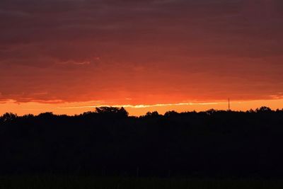 Silhouette trees on field against orange sky