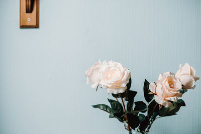 Close-up of rose bouquet in vase against white wall