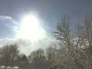 Low angle view of bare trees against sky