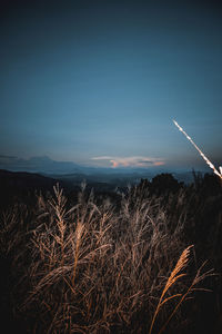 Scenic view of field against sky at sunset