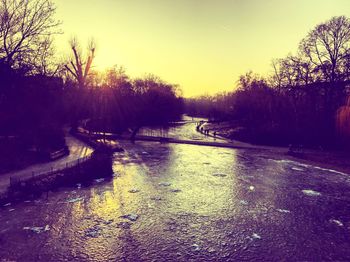 Wet trees against sky