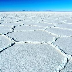 View of snow covered landscape