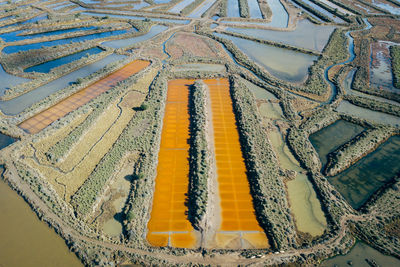 High angle view of agricultural field