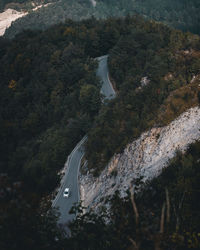 High angle view of river amidst trees