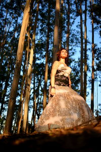 Low angle view of woman in forest