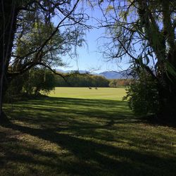 View of golf course against sky