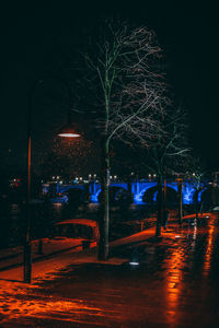 Illuminated trees at night during winter