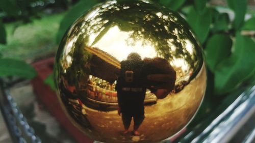 Reflection of trees in mirror