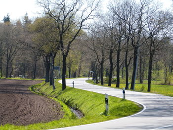 Road amidst trees against sky