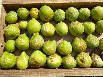 Full frame shot of figs at home 