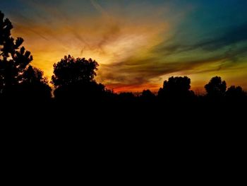 Silhouette trees against sky at sunset