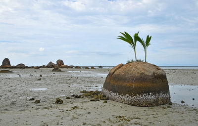 Scenic view of calm beach against cloudy sky