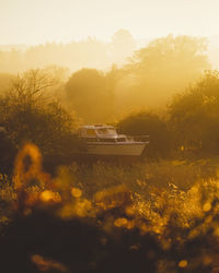 Boat in field on sunny morning