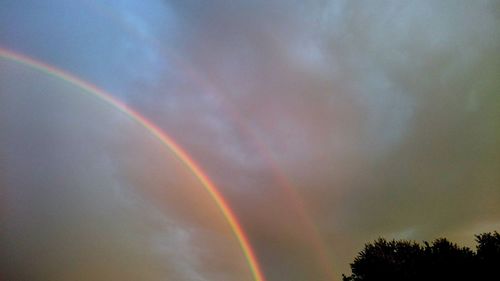 Rainbow over trees